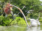 bird battle